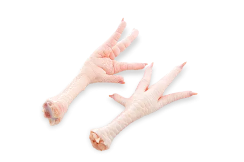Feet