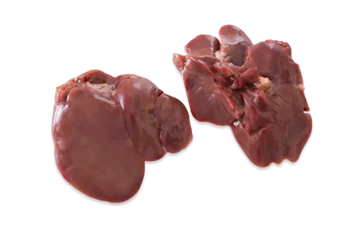 Liver