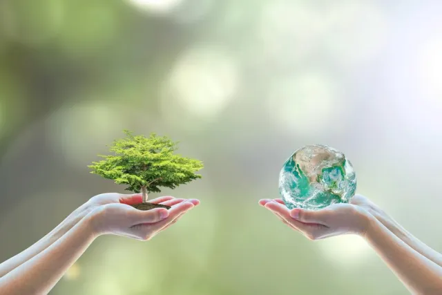 Inovação e Sustentabilidade na Friato